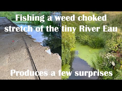 A few surprises when I fished the tiny, weed choked, River Eau