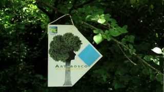 preview picture of video 'ARTEinBOSCO 2012'