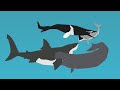 Great White Shark Vs Mosasaurus Vs Livyatan vs Megalodon