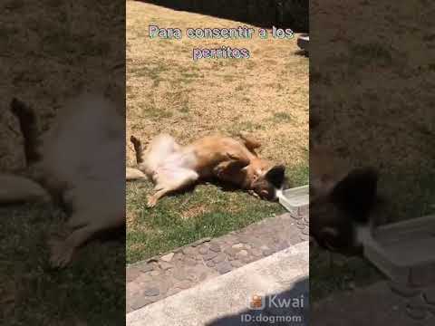 17 de agosto de 2021