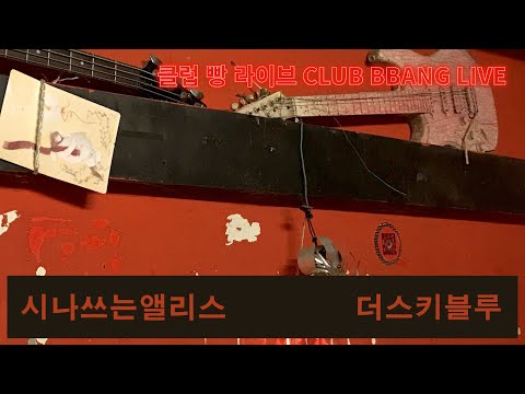 클럽 빵 라이브 '금요라이브' (시나쓰는앨리스, 더스키블루) CLUB BBANG LIVE🍞