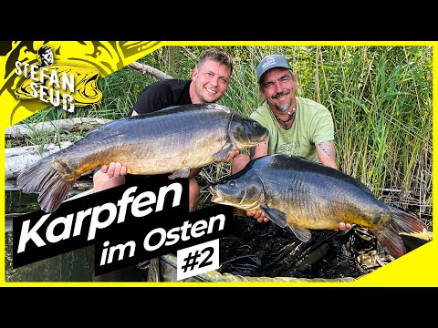 CARP in the EAST #2 | Fishing frenzy in HEAT | Carp fishing at the new LAKE