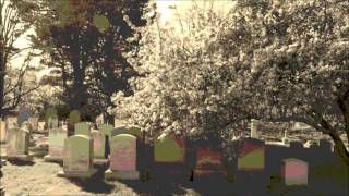 The Acacia Strain - Walled City(Nothing Edition)