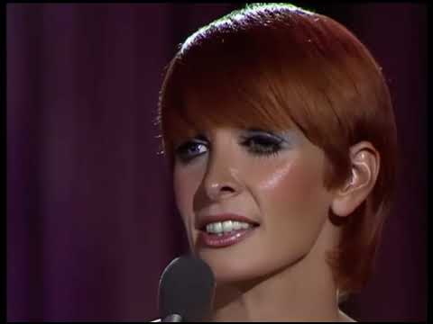 Marti Caine “ ❤️ chucked him a chip & he followed me home” 😁