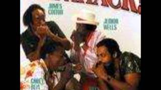 Black Night-James Cotton, Junior Wells, Billy Branch, Carey Bell,