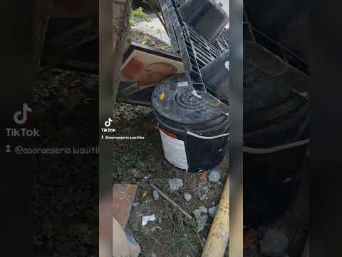 FOTOS QUE FALAM RETRATO DO PREFEITO.