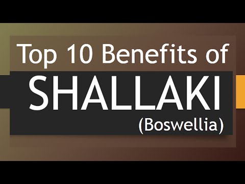 Top 10 benefits of shallaki or boswellia - amazing health be...