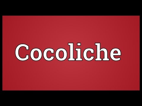 Cocoliche Meaning