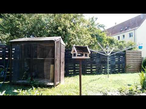 Paulus handelte nicht gegen das Gesetz der Juden