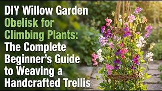 DIY Willow Garden Obelisk for Climbing Plants: The Complete Beginner's Guide.