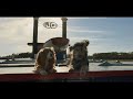 Lady And The Tramp Disney Teaser Trailer
