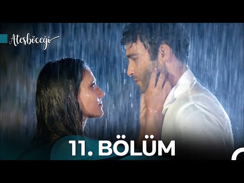 Ateşböceği 11. Bölüm (HD)