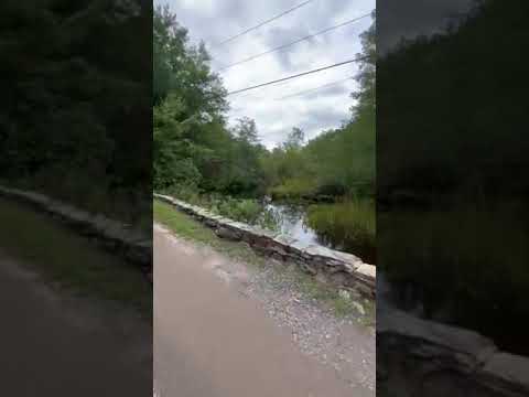 creek running through campground
