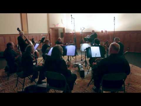 Mozart Flute Concerto in  D Major - movement  1 - Paul Fried Flute