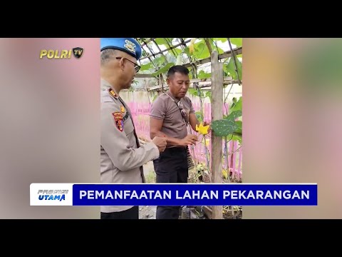 PERAWATAN BUDIDAYA LABU MADU F1 DI POLRES MERAUKE