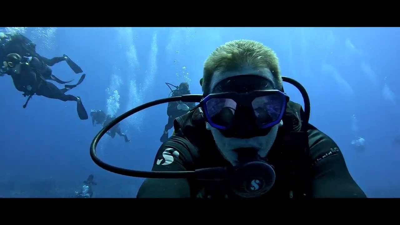 Shark Diving on Round Island