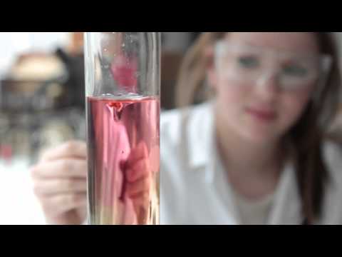 エディンバラ・シュタイナー・スクールの主なレッスン (The Edinburgh Steiner School Main Lessons)