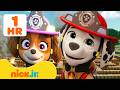 Best PAW Patrol Fire Rescue Moments 7 60 Minutes Nick Jr