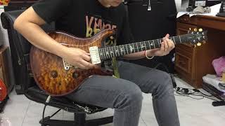 Video thumbnail for PRS Custom 24 Artist Package Electric Guitar by chatreeo