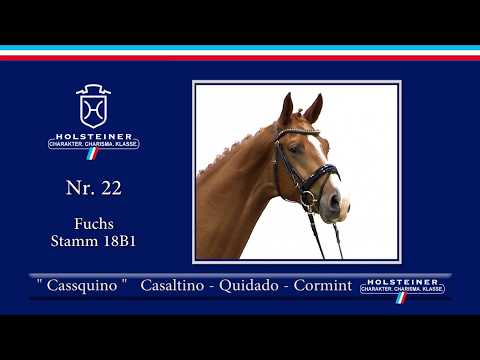Holsteiner Körlot 2018 | Nr. 22 - CASSQUINO v. Casaltino - Quidado