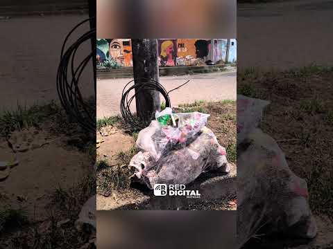 Este separador en Florencia #caquetá es un verdadero botadero de basura. Falta conciencia ciudadana
