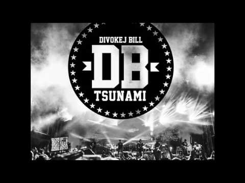 DIVOKEJ BILL - Jak ti to říct (Tsunami 2017)