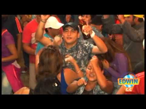 INTERNACIONAL MATICES - MIX CLAVELES 3 D.R