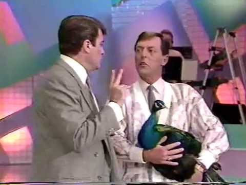 De Bonne Humeur: Des paon qui coopère pas