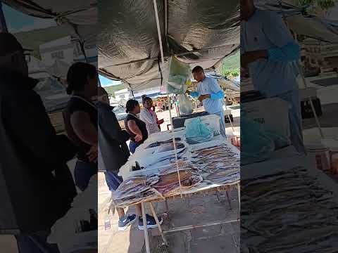 Segunda-feira -Uibaí-Ba