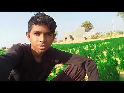 Vlogging Emoni | My 4th Vlog | Aaj Ka Din Khaas Tha 😍 #lichuvlogging #youtubeshorts #vlogs #trending