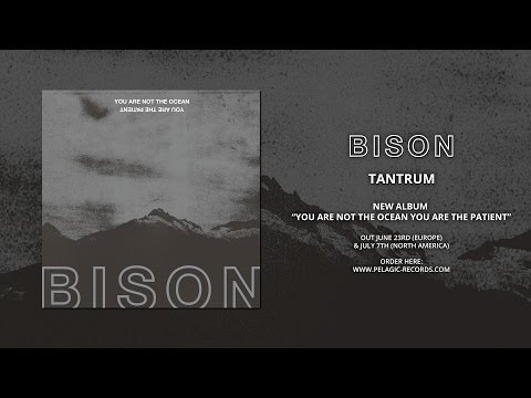 BISON - Tantrum