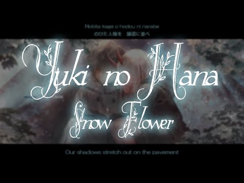 Yuki no Hana (Lyrics Video | Kawaii ver.)