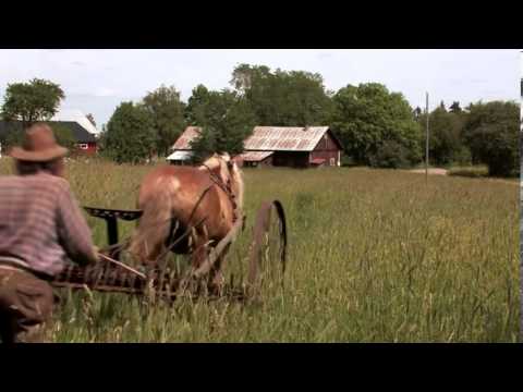 Hästmannen - sista striden  -  Trailer