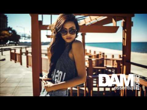Dam Essential Music House Mix 1 Hour DJane Koki