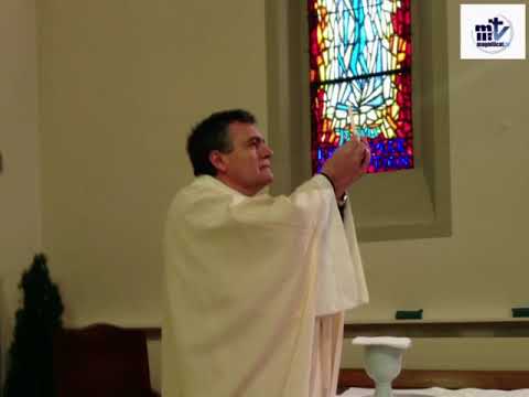 Homily. Memorial of Saint Leo the Great, Pope and Doctor of the Church. Fr. Santiago Martín, FM