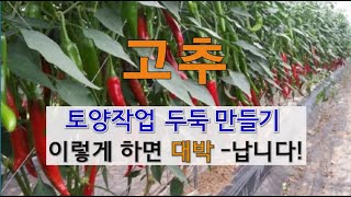 고추 토양 작업 두둑 만들기 이렇게 하면 대박 납니다. #주말농장 고추 가꾸기.