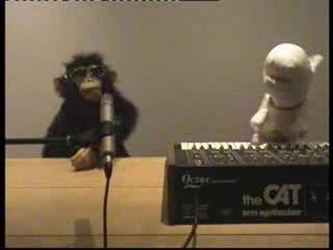 Rex the Dog & Punk Monkey sing The Sounds Tony The Beat