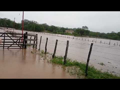 🇧🇷 SERRITA EM PERNAMBUCO 01/03/2026