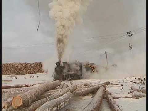 Vanishing World Steam Volume 7 - Zhane Large