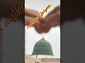 Aaqa A Jaiye Maula A Jaiye Status Video