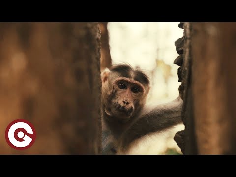 TR3NACRIA - Intro (Official Video)