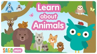 🐾 Sago Mini Animal Mega Mix! | Bugs, Zoo, Oceans, Birds and more 🐞🦁