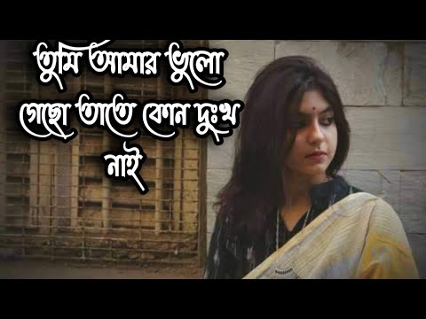 TUMI AMAY VULAY GACO | তুমি আমার ভুলে গেছো তাতে কোন দুঃখ নাই  | বাউল গান | Sad songs |