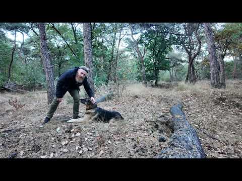 Hoe ik mijn hond commando,s leer (duitse herder)