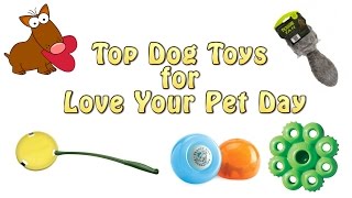 Top 5 Dog Toys For Love Your Pet Day