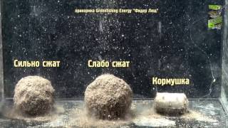 Прикормка salapin лещ люкс greenfishing 1000гр