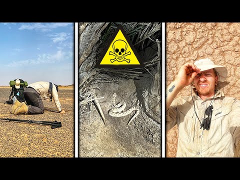 SCHLANGEN, SKORPIONE & SCHEI*EREI! - 10 TAGE DURCH DIE SAHARA #002