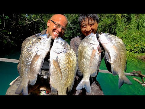 INDO TALES - EPISODE 24 Amazing spearfishing day in a jungle river!!!!