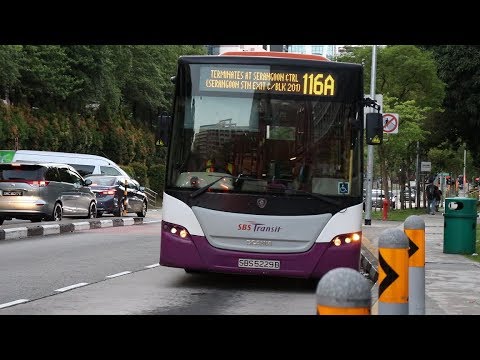 New Service 116A Debut | Scania K230UB Euro 5 - SBS5229B on Service 116A