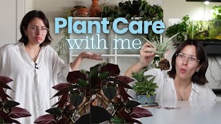 Springy chit chat plant care vlog + life updates